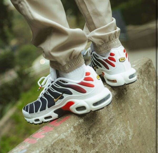 First Copy Shoes Nike Airmax Plus PSG
