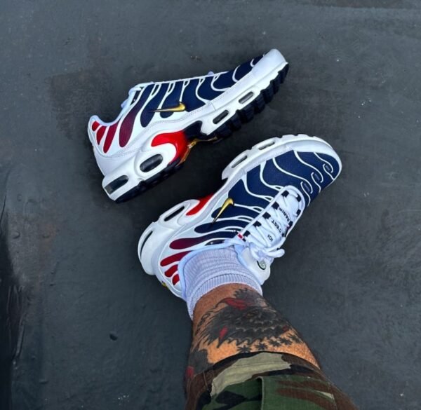 First Copy Shoes Nike Airmax Plus PSG
