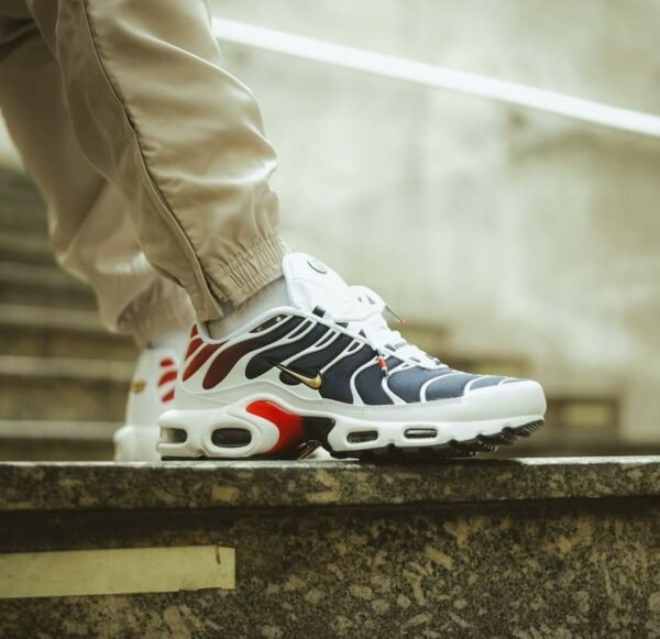 First Copy Shoes Nike Airmax Plus PSG