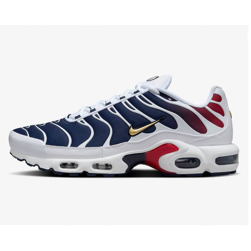 First Copy Shoes Nike Airmax Plus PSG