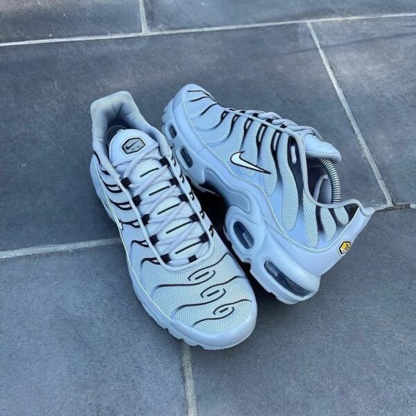 First Copy Shoes Nike AirMax Plus Wolf Grey-5